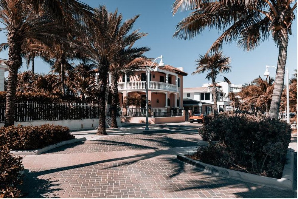 Tropical South Florida home with palm trees on a residential street